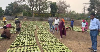 हरा सोना संग्राहकों की आय बढ़ाने की दिशा में बड़ा कदम