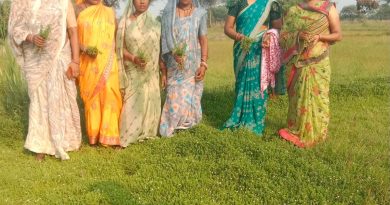 औषधीय पौधों की खेती से बदली महिलाओं की तकदीर, बढ़ेगा दायरा*