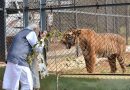 प्रकृति और वन्यजीव संरक्षण का अनूठा संगम है नंदनवन जंगल सफारी